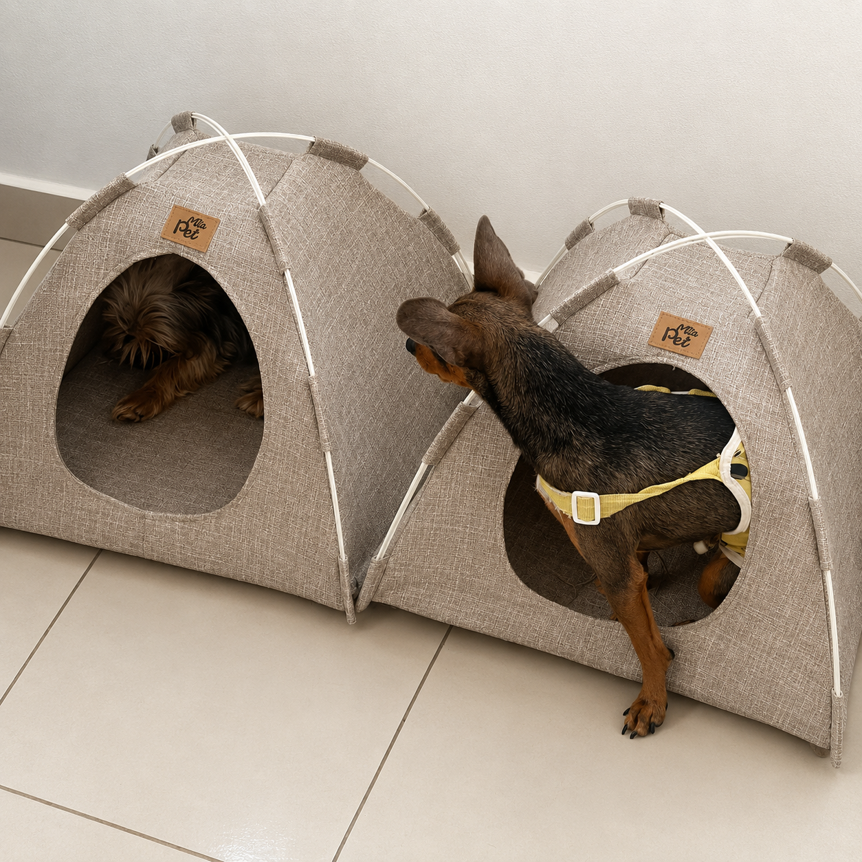 Cabana Tenda Pet para Cães e Gatos Pequenos