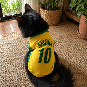 Roupinha Pet Copa do Mundo| Personalizada com Nome