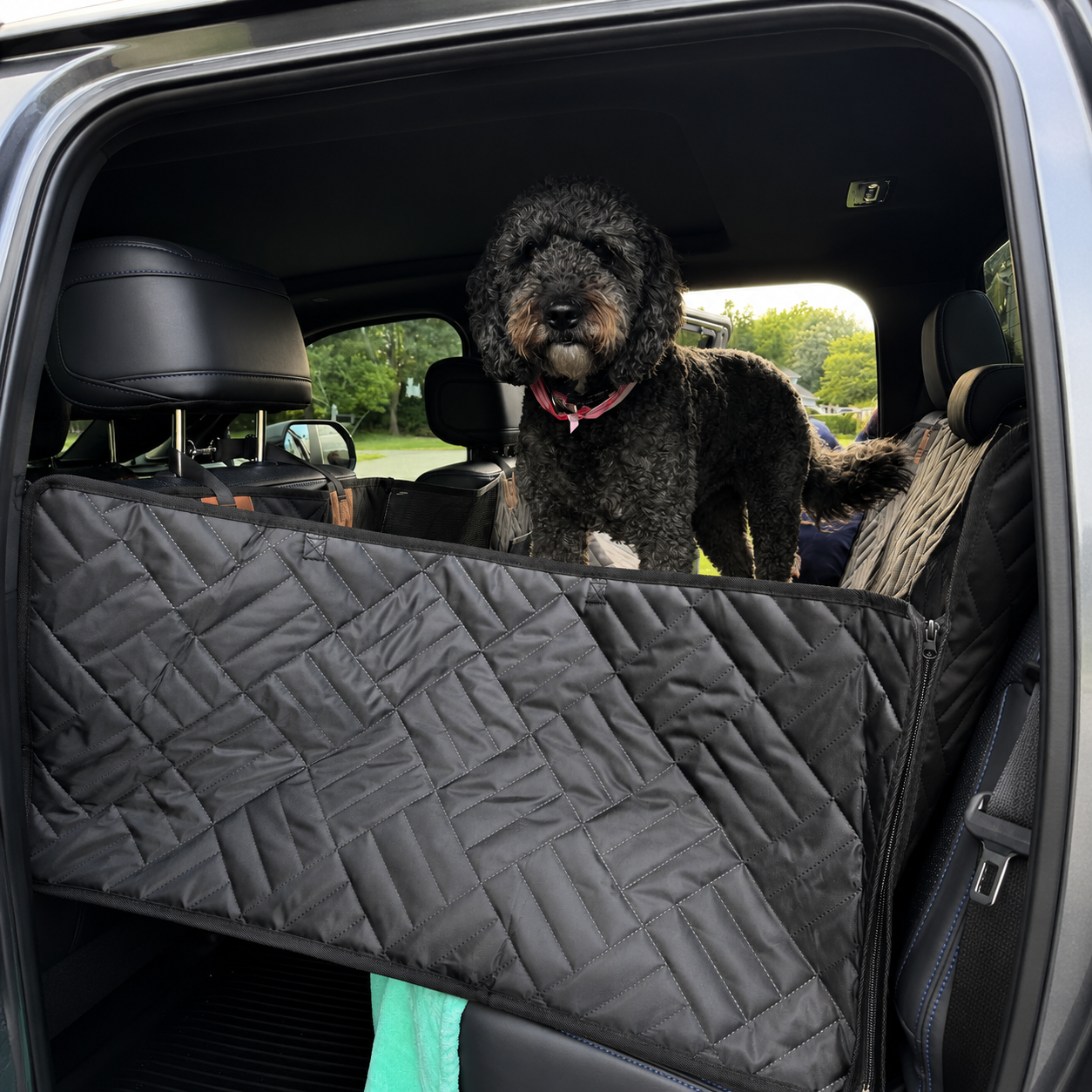 Capa Rígida Protetora para Banco de Carro Pet- Impermeável