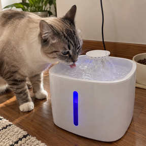 Fonte Automática Pets- Com filtro 3L