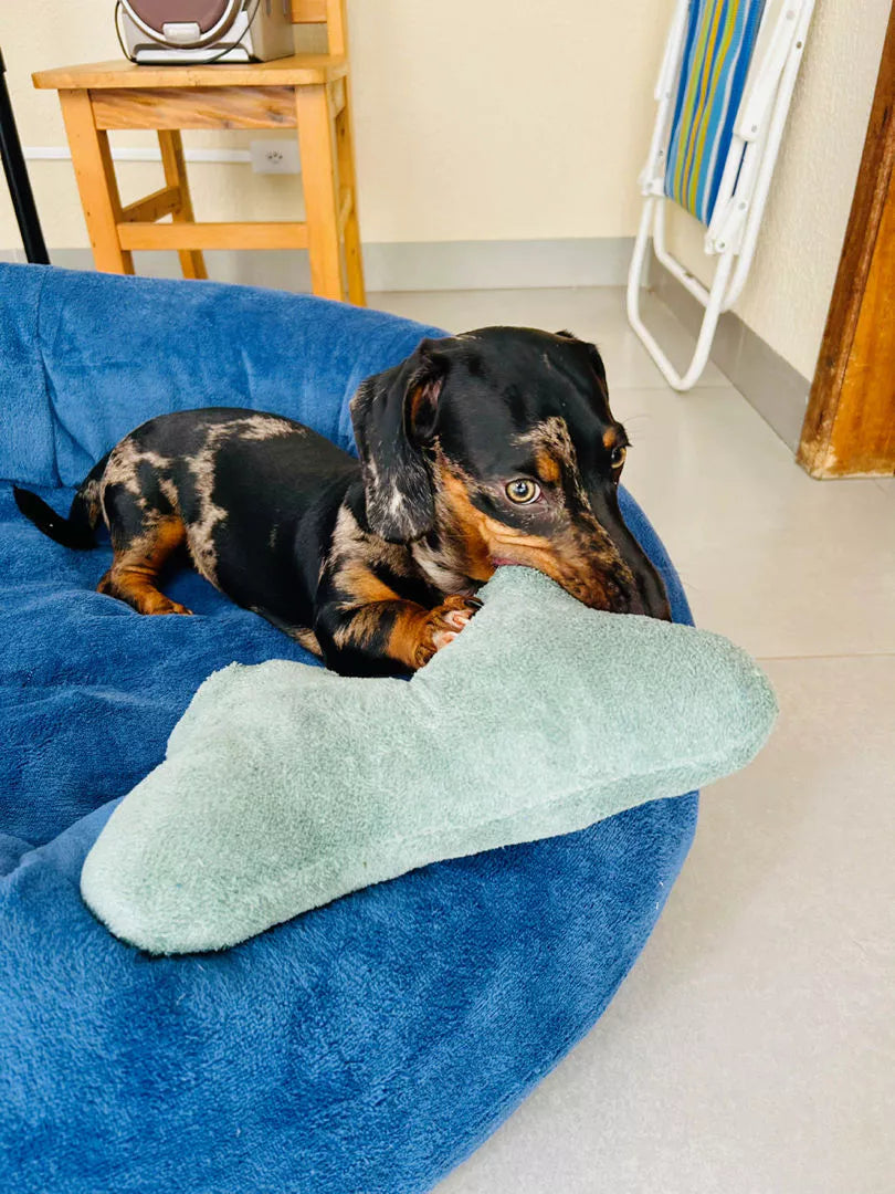 Cama Pet Nuvem Extra Macia para Cachorro e Gato