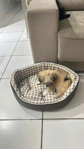Cama Confortável e Resistente para Cachorros e Gatos