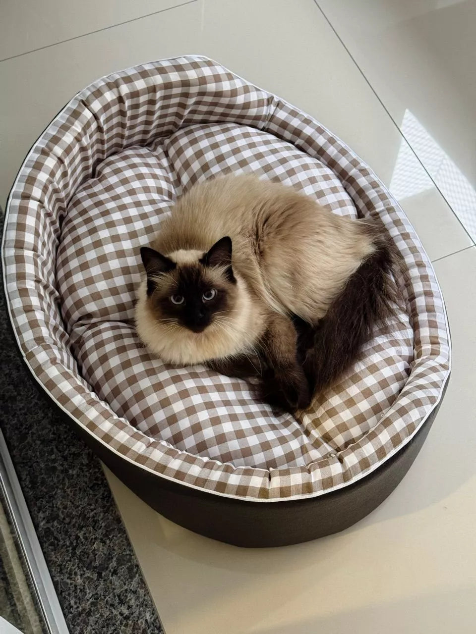 Cama Confortável e Resistente para Cachorros e Gatos