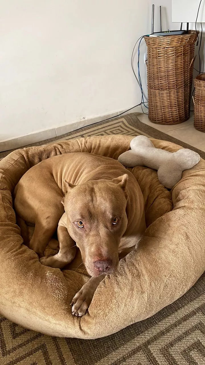 Cama Pet Nuvem Extra Macia para Cachorro e Gato