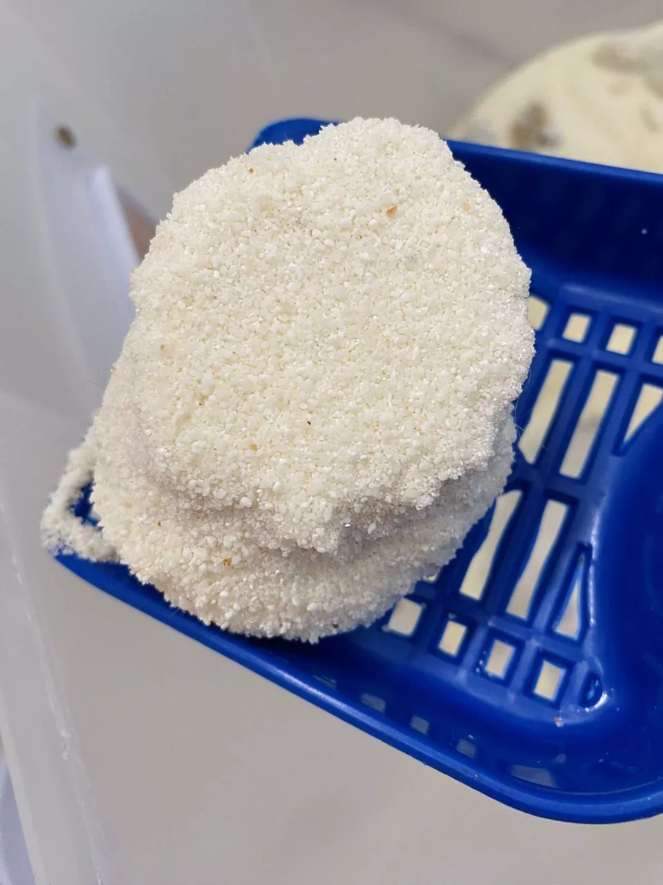Areia Anti-Odor para Gatos – Elimine o Cheiro na Hora 12 Kg (3 pacotes de 4 kg)