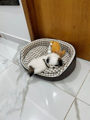 Cama Confortável e Resistente para Cachorros e Gatos
