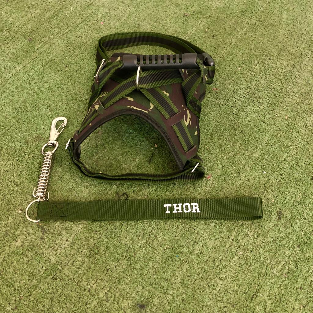 Coleira Peitoral Personalizada com Guia Amortecida