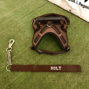 Coleira Peitoral Personalizada com Guia Amortecida