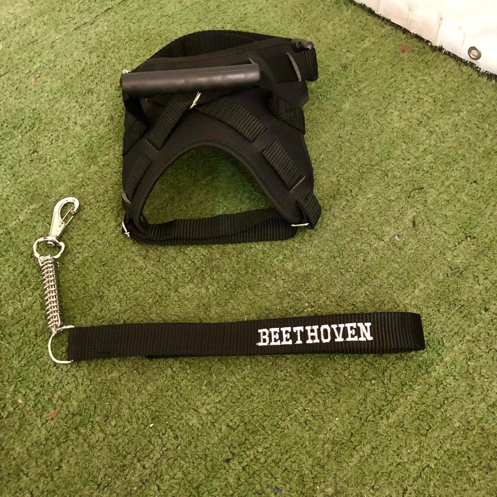 Coleira Peitoral Personalizada com Guia Amortecida