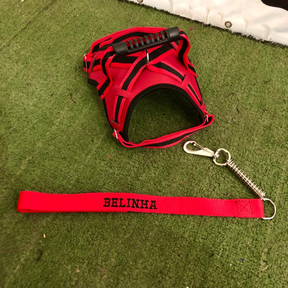 coleira e Guia para cachorro nome personalizado coleira peitoral conforto peiteira sistema amortecedor impacto regulagem