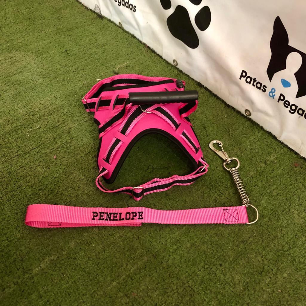 coleira e Guia para cachorro nome personalizado coleira peitoral conforto peiteira sistema amortecedor impacto regulagem