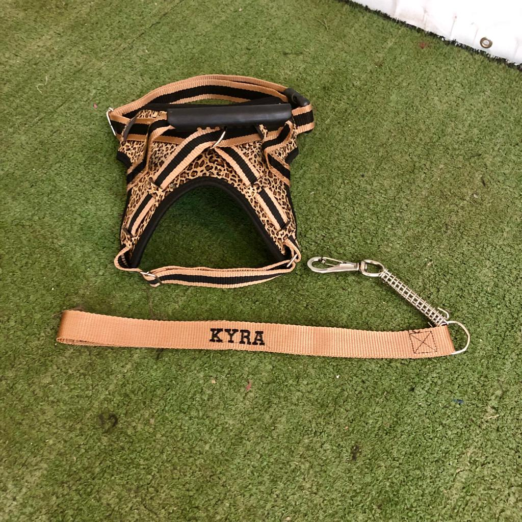 Coleira Peitoral Personalizada com Guia Amortecida