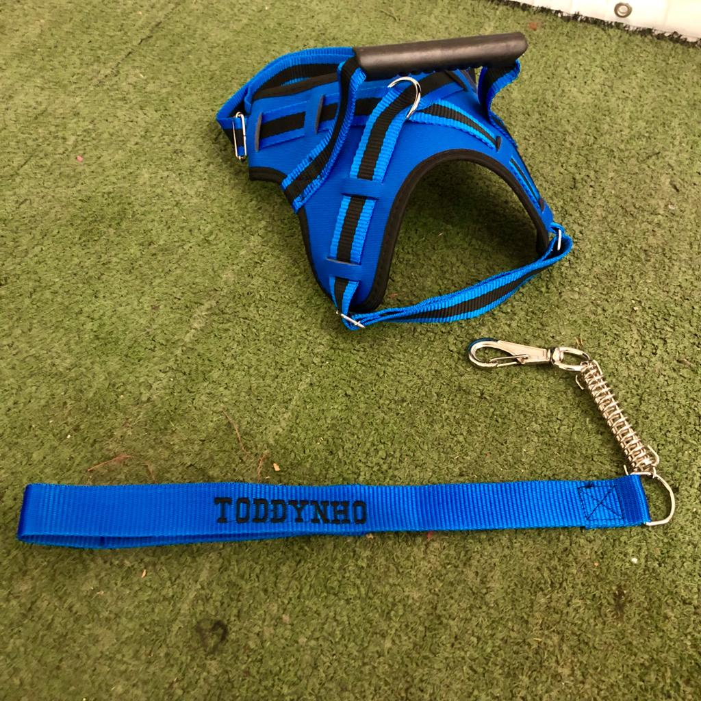 coleira e Guia para cachorro nome personalizado coleira peitoral conforto peiteira sistema amortecedor impacto regulagem