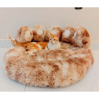 cama pata pet nuvem para cães e gatos caminha vários tamanhos antialérgico