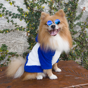 Roupinhas Pet Cachorro Gato Outono Inverno Casaco Teddy Casaquinho De Frio Para Cães e Gatos