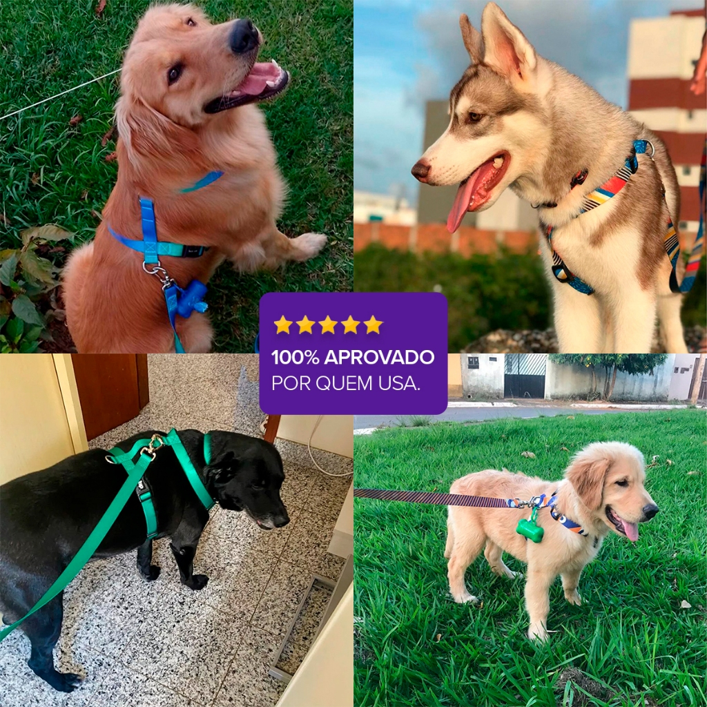 Coleira Peitoral para Cachorro Cães H Regulável Várias Estampas Basic Pet