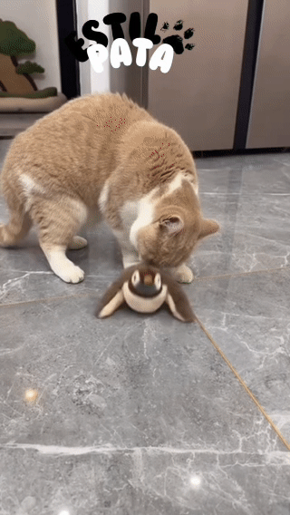 Pássaro Interativo com Som Real para Gatos