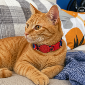 Coleira Antienforcamento Ajustável para Gatos - Estampa de Personagem
