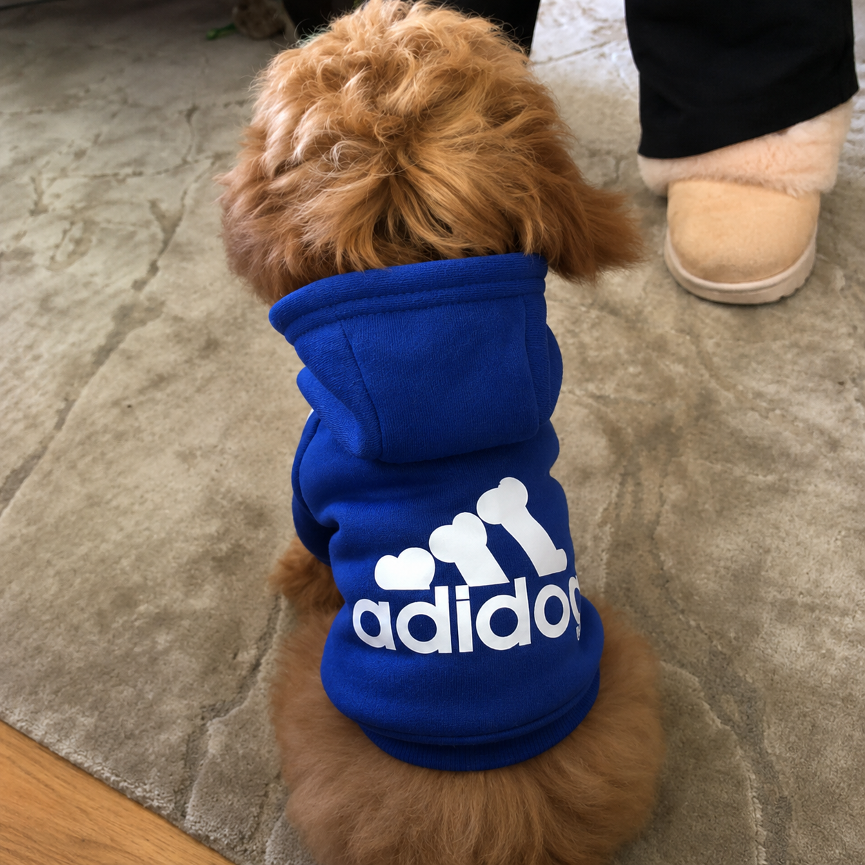 Moletom para Cachorro c/ Capuz Roupinha Pet Touca Adidog