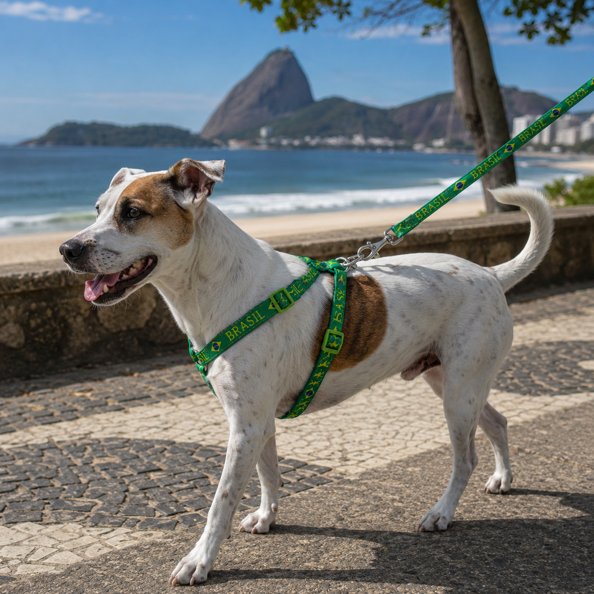 Peitoral + Guia Para Cachorro Brasil Copa 2026™
