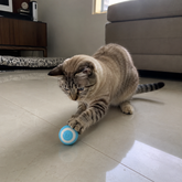 Bolinha Interativa Inteligente PetSmart™ – Diversão Sem Fim para Cães e Gatos!
