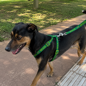 Peitoral + Guia Para Cachorro Brasil Copa 2026™
