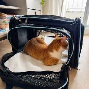 Bolsa de Transporte Expansível Pet
