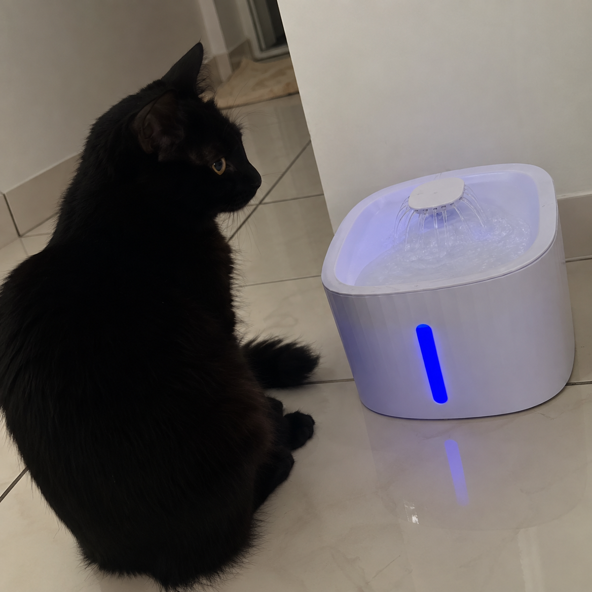 Fonte Automática Pets- Com filtro 3L