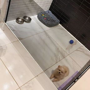 Tela de Proteção Retrátil para Pets e Crianças