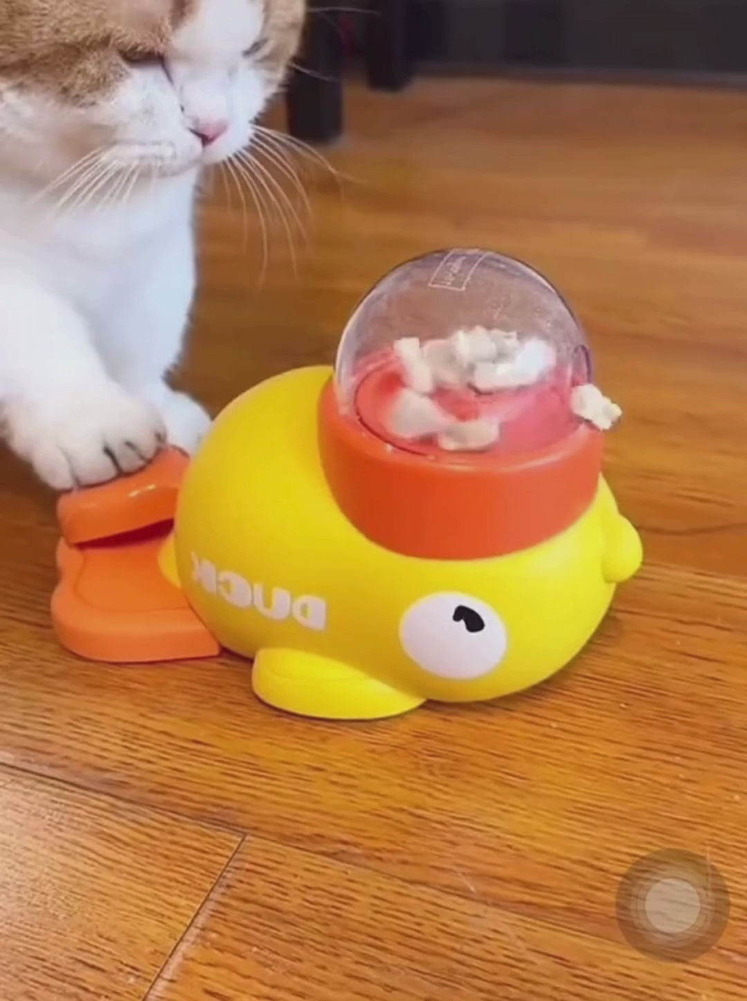 Comedouro Inteligente para Pets – Formato de Pato