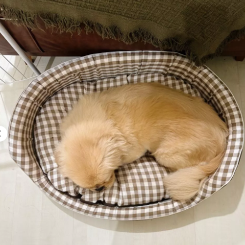 Cama Confortável e Resistente para Cachorros e Gatos
