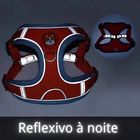 Coleira e Peitoral para Pet