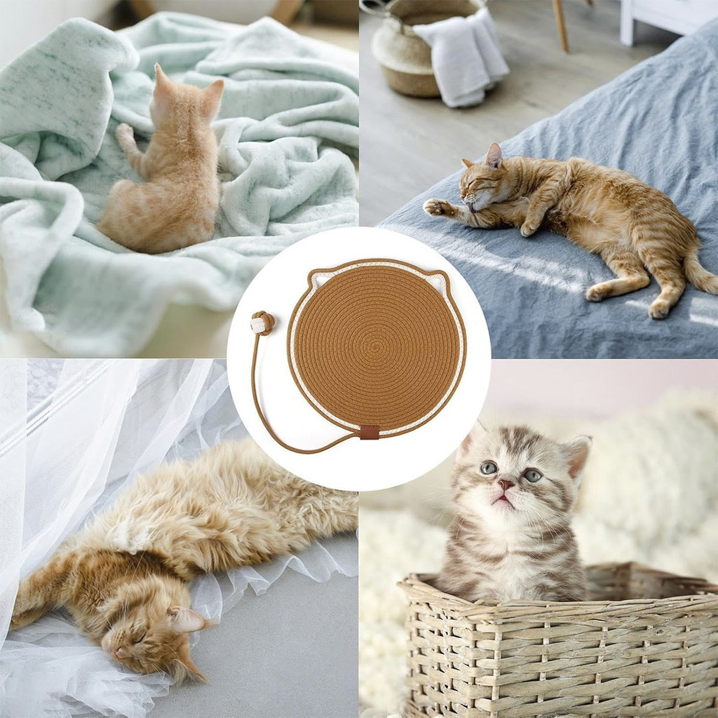 Arranhador Tapete Cama Gato Pet Animais Felino Brinquedo Relaxante Confortavel Anti Estresse Petshop Casa Divertido